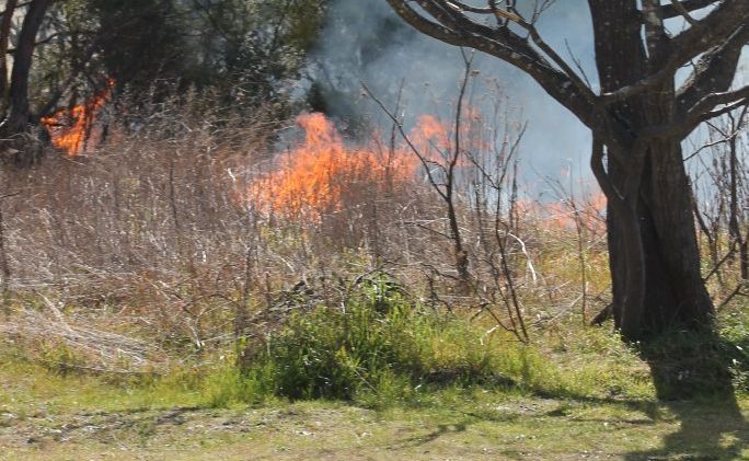 BLAZING: Grass fires have been a common sight across the Granite Belt throughout the last week. Photo Linden Morris / Stanthorpe Border Post BLAZING: Grass fires have been a common sight across the Granite Belt throughout the last week. Photo Linden Morris / Stanthorpe Border Post